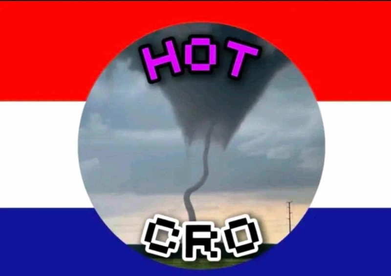 Hrvatski olijni tim